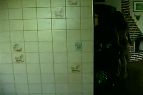 Latin t-girl bonks With A beauty