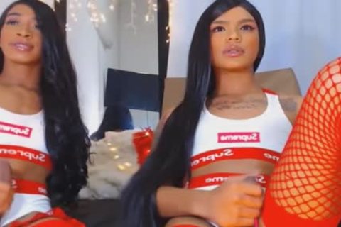 Twin lady-man Giving Each Other A stunning handjob