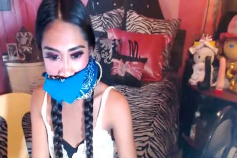 Two ladyboy Jerking Their large dong On cam