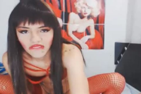 latin chick lady-man receives Her lovely butt hammered