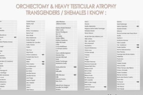 Orchiectomy ladyboy Porn Stars V5 ( Castrated, No Balls )