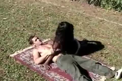 ebony tranny plow And get pounded