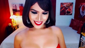 concupiscent ladyboy Jerks On web camera 172