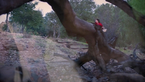 Transfixed: Hooded Beauty Meets Hungry Eyes