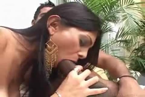 she Brasil Or Male oriental-she-Male