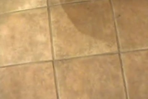 Patricia Mark stripping For The camera