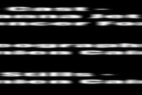 ladyman Cougar From The Agency