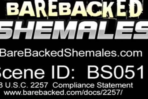 bare Sex With lady-man