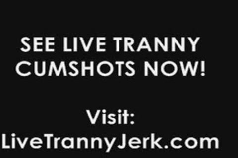 dilettante teen tranny Toying wazoo